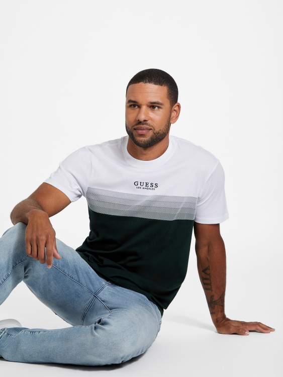 Rami Color-blocked Tee Guess Alpine Grove