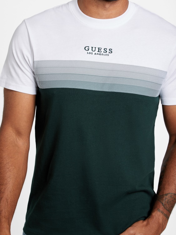 Rami Color-blocked Tee Guess Alpine Grove