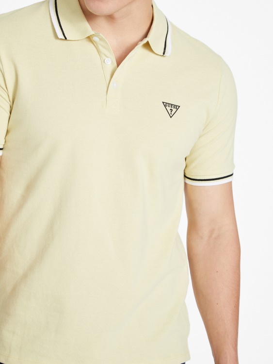 Allen Polo Citrus Sun Guess
