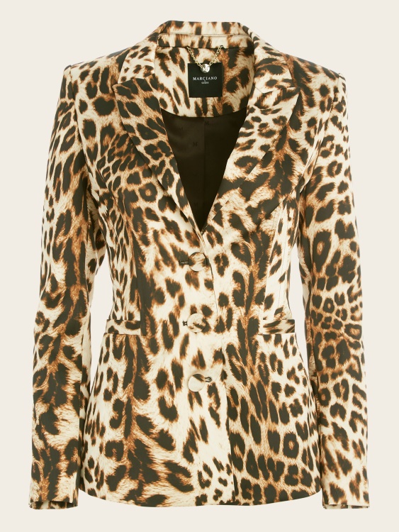 Spellbound Redux Spellbound Redux сако предположение