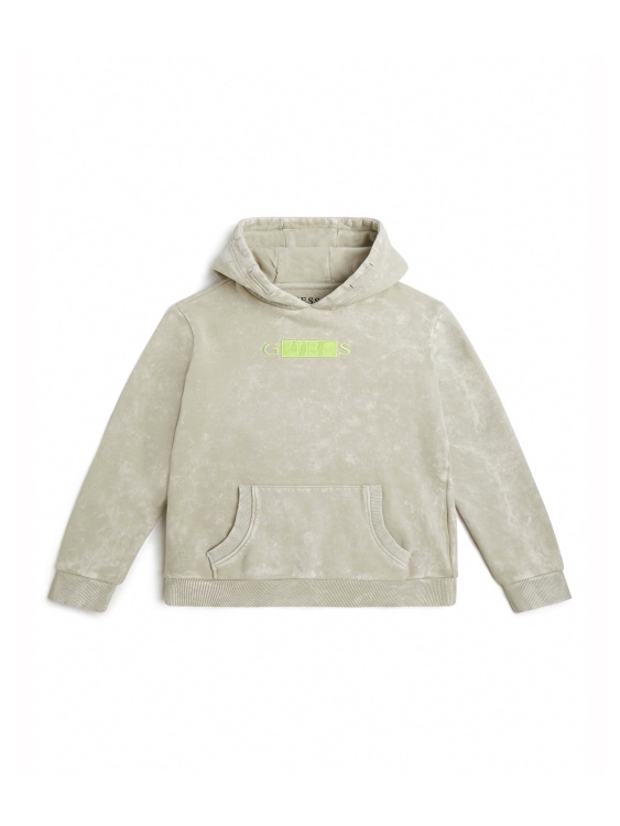 Guess Blocked лого Hoodie (7-16) лешниково дърво