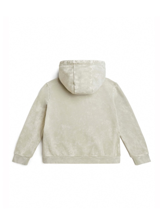 Guess Blocked лого Hoodie (7-16) лешниково дърво