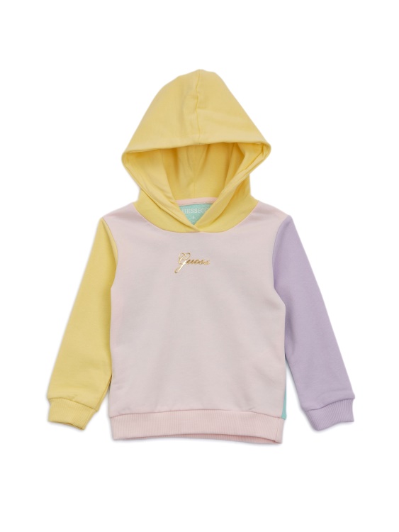 Eco Color-block Hoodie (2-7) Multicolor Multi Guess