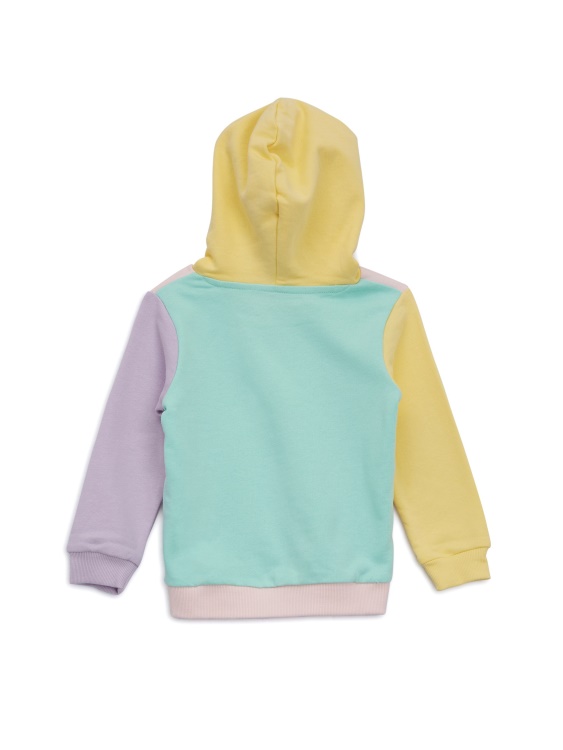 Eco Color-block Hoodie (2-7) Multicolor Multi Guess